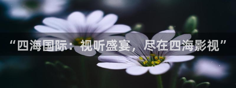 西瓜影院狂飙电视剧全集免费播放